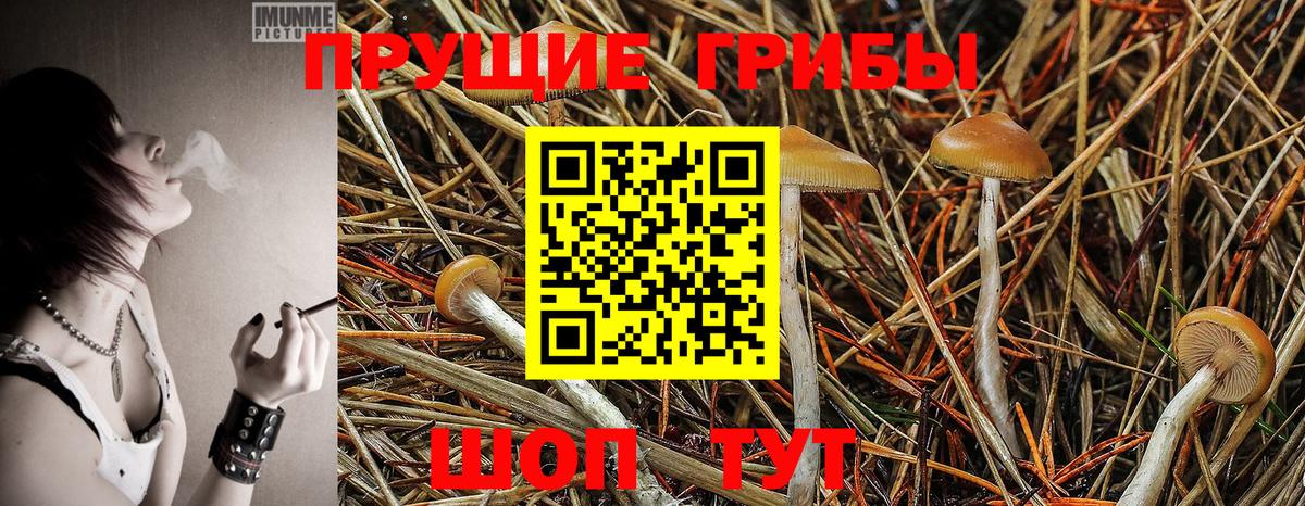 Галлюциногенные грибы GOLDEN TEACHER Пыть-Ях